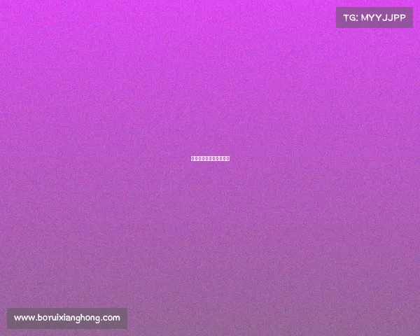 武林武林风最新一期比赛